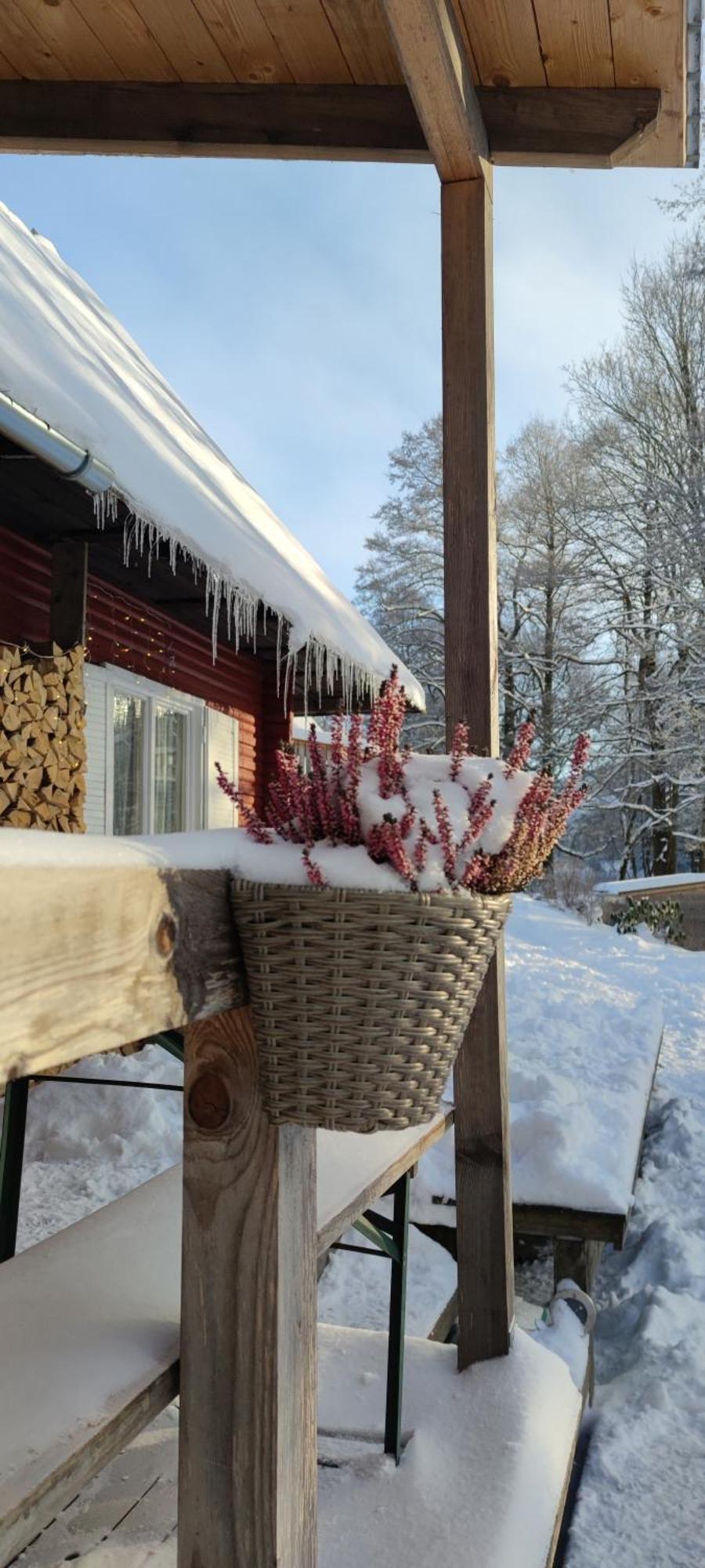 Chalet U Potoka, Chaticka C. 1 *